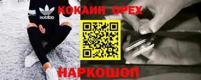 прущие грибы Новодвинск