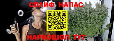 прущие грибы Новодвинск