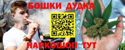 прущие грибы Новодвинск