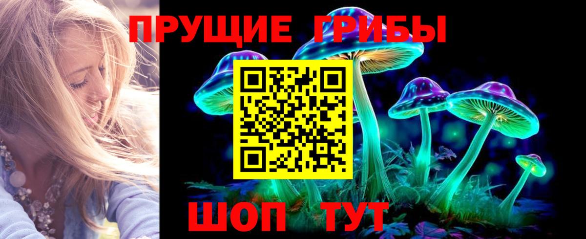 Галлюциногенные грибы Psilocybine cubensis Похвистнево